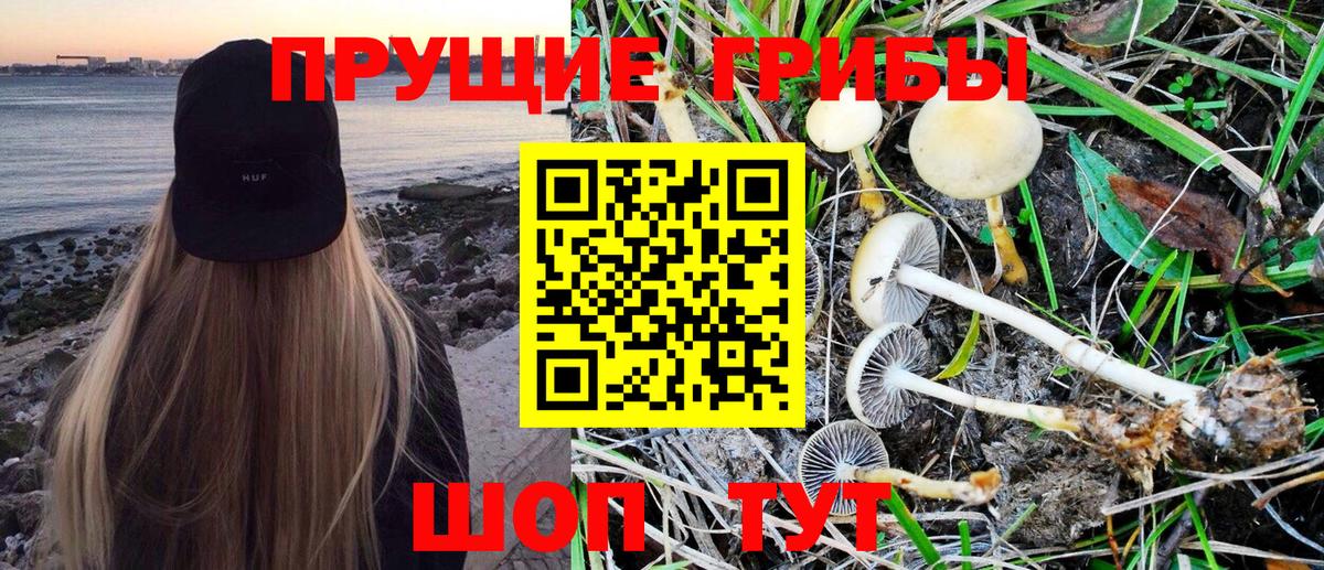 Галлюциногенные грибы Magic Shrooms  Вход с VPN  Джанкой 