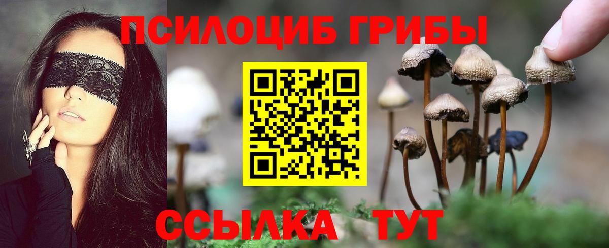 Галлюциногенные грибы Cubensis Джанкой